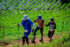 BIB: 1224
                            <button type="button" onclick="openModal(19164203)" class="btn btn-primary btn-sm float-right btn-popup" data-toggle="modal" data-target=".modal-high-quality">
                        <i class="fas fa-shopping-cart"></i> Add to Cart
                    </button>
                                            <button type="button" onclick="isThisMe(19164203, true)" class="btn btn-success btn-sm float-right btn-popup btn-isme hidden" data-toggle="tooltip" data-placement="bottom" title="นี่คือรูปของคุณใช่ไหม คลิกที่นี่เพื่อเอาเข้าอัลบั้ม">
                        <i class="fas fa-plus"></i> Add to album
                    </button>
                    <button type="button" onclick="isThisMe(19164203, false)" class="btn btn-warning btn-sm float-right btn-popup btn-isnotme hidden">
                        <i class="fas fa-ban"></i> Remove from album
                    </button>